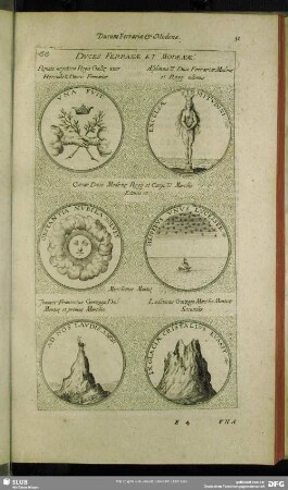 [Hierographia Ducum Modenae]