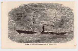 Dodgeon"s new double-screw iron steam-ship "Flora"