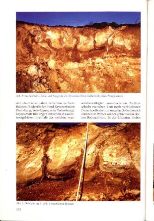 Abb. 2: Taschenböden, Sand- und Kiesgrube Fa. Kieswerke-West, Kolkerheide, Kreis Nordfriesland