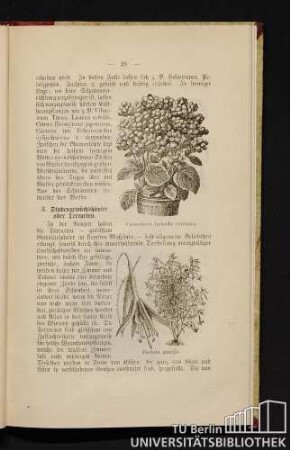 3. Stubengewächshäuser oder Terrarien.