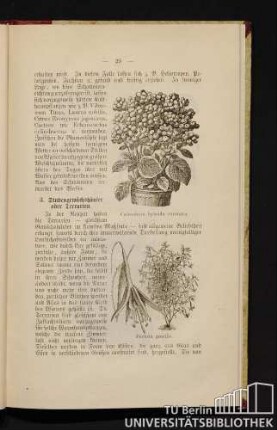 3. Stubengewächshäuser oder Terrarien.
