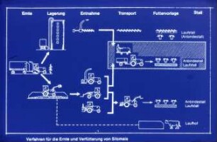 Verfahren für die Ernte und Verfütterung von Silomais