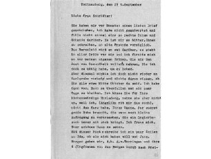 Brief von Marie Wiegmann an Alwine Schroedter