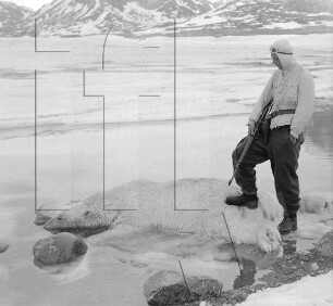 Duvefjord : Helmut Reyer mit erlegtem Eisbär