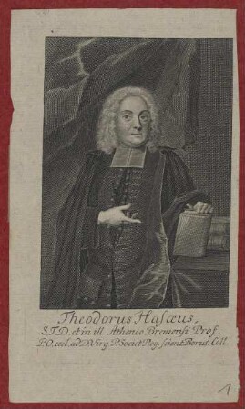 Bildnis des Theodorus Hasaeus