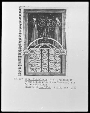 Arbor affinitatis (zum Eherecht) mit Gatte und Gattin