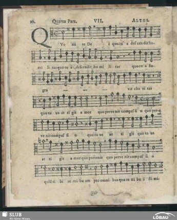 VII. Quo nate Dei; SWV 59