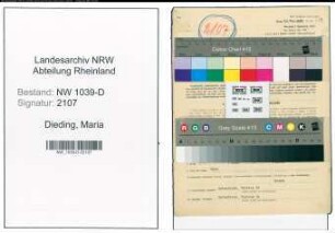 Entnazifizierung Maria Dieding , geb. 16.08.1901 (Kommanditistin)