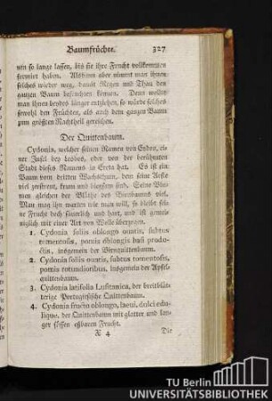 Der Quittenbaum.