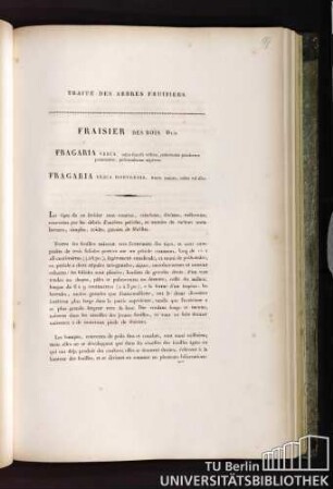 Fraisier des bois. Duh. Fragaria vesca, calice fructus reflexo, pubescentia petiolorum patentissima, pedunculorum adpressa. Fragaria vesca hortensis, fructu majore, rubro vel albo.
