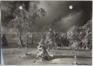 Winterlandschaft, Taunus