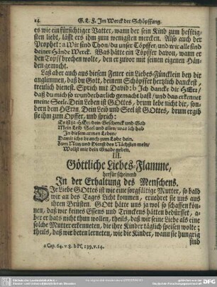 III. Göttliche Liebes-Flamme, herfür scheinend In der Erhaltung des Menschens