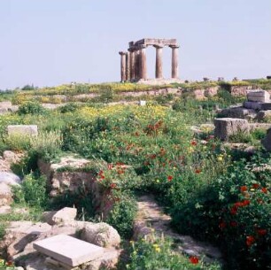 Alt-Korinth. Apollontempel über der Agora