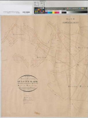 Hülsten (Reken), Teilung der Hülster Marken, Brouillonkarte Schwatte Venn