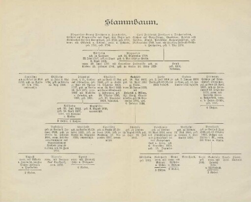 Stammbaum