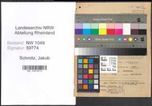 Entnazifizierung Jakob Schmitz , geb. 16.04.1897 (Steuerberater)