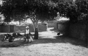 Dorf bei Memnonkollossen (HAPAG-Mittelmeerfahrt der Oceana Leonhardt 1929)