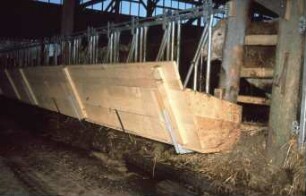 Fotografie: Stallsystem, Tieflaufstall, Bullenmast, Fressbereich, Fressgitter, Fangfressgitter