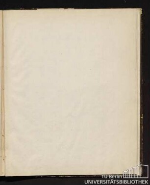 Tafel XV. Fig. 1 bis Fig. 13.