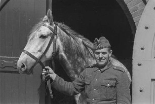 Zweiter Weltkrieg. Niederlande unter deutscher Besatzung. Wehrmachtsangehöriger, ein Pferd am Zügel aus dem Stall führend (wohl bei Den Haag)