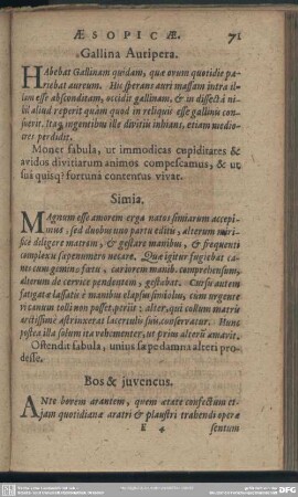Bos & Iuvencus