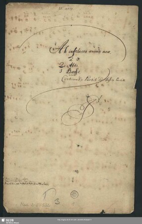 Ah infelices animae meae in tantis periculis - Mus.2-E-532 : V (3), bc
