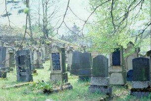 alte Grabstätten auf dem Jüdischen Friedhof