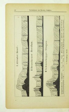 Niederschlags-Profile