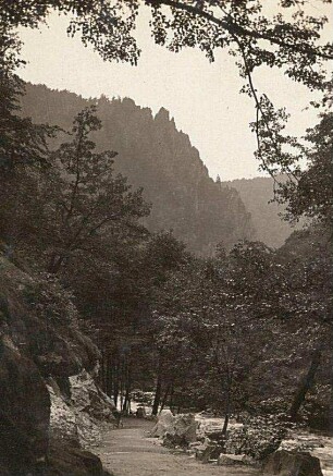 Harz/Sachsen-Anhalt. Weg im Bodetal