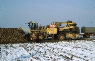 Fotografie: Ernteverfahren, Zuckerrübe, Zuckerrübenverlademaus