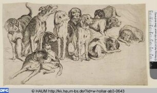 Elf Jagdhunde