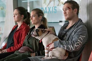 Wuff - Folge dem Hund