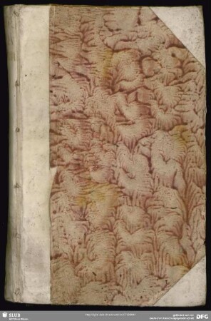 Ferner weiteres Extract-Schreiben, Aus dem Königl. Schwedischen Haupt-Quartier Alt-Ranstadt, den 28. Dec. 1706. [8. Jan. 1707]
