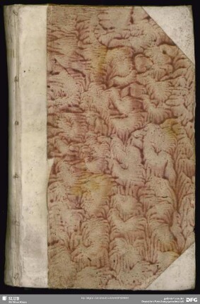 Ferner weiteres Extract-Schreiben, Aus dem Königl. Schwedischen Haupt-Quartier Alt-Ranstadt, den 28. Dec. 1706. [8. Jan. 1707]