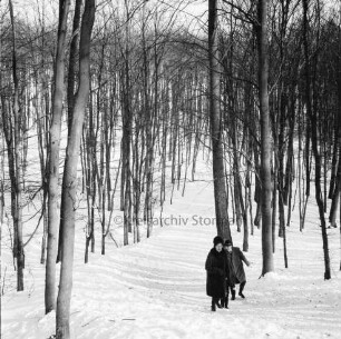 Kneeden: zugeschneiter Waldweg: darauf Paar mit Kind: rechts und links Bäume: Winter