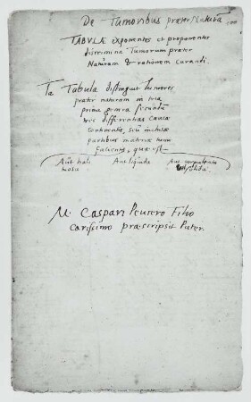 Tabulae medicae, Blatt 100r