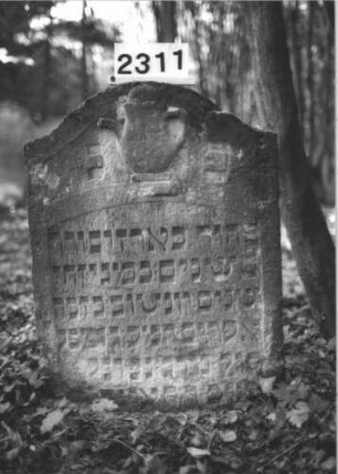 Grabstein 2311
