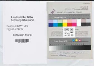 Entnazifizierung Maria Schlueter, geb. 19.10.1911 (Bildhauerin)