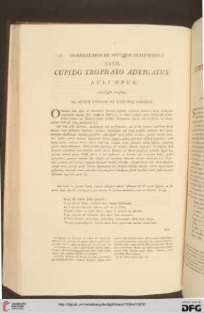 XXXII. Cupido trophaeo adligatus / XXXII. Cupido legato ad un trofeo