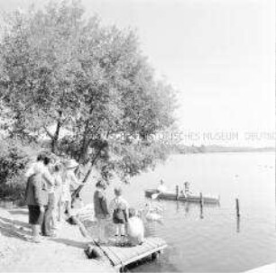 Urlauber des FDGB-Ferienheims "Freundschaft" in Feldberg (Mecklenburg) bei Schwanenfütterung am See