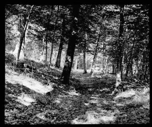 Viereckschanze bei Bütthard