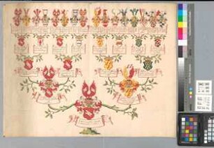 Proband: Haxthausen, Wilhelmina Maria Josepha von; Vater: Haxthausen, Johann Friedrich Conrad von; Mutter: Galen, Sophia Christina Hennetina(!) von: Geseke, Stift