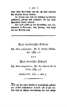 ¬Das¬ isländische Schaaf : Lat. Ovis polycerata, Fr. le Brebis d'Islandie ; (Fig. 1) und das kretische Schaaf ; Lat. Ovis strepsiceros, Fr. La Chevre de la Créte ; (Fig. 3) ; (Tafel XIV, Fig. 1 und 3)