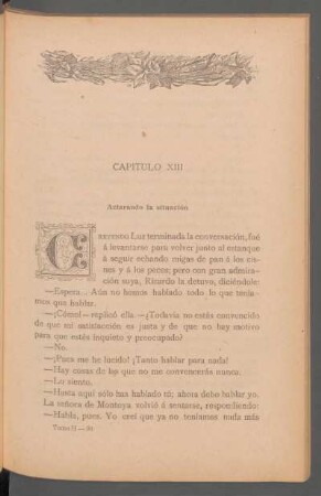 Capítulo XIII - Aclarando la situación