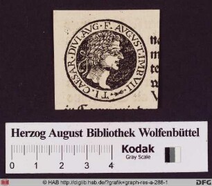 Profilportrait von Julius Caesar