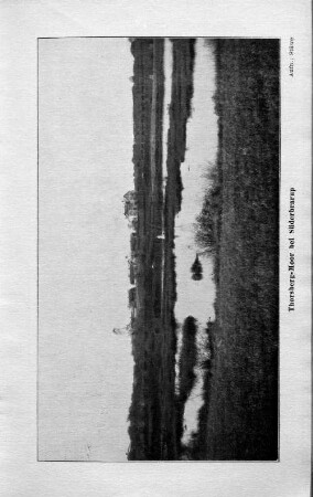 Thorsberger Moor bei Süderbrsrup.