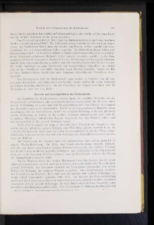 Wurzeln und Leitungsbahnen des Rückenmarks.