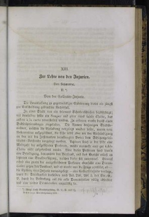 XIII. Zur Lehre von den Injurien