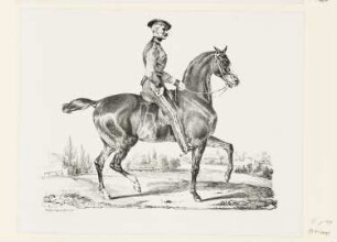 Reiter