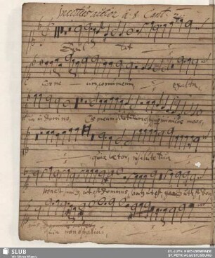 Anonymus: Exsultat cor meum